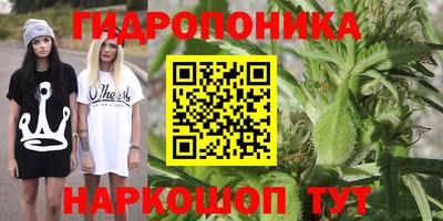 дживик Будённовск