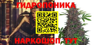 дживик Будённовск