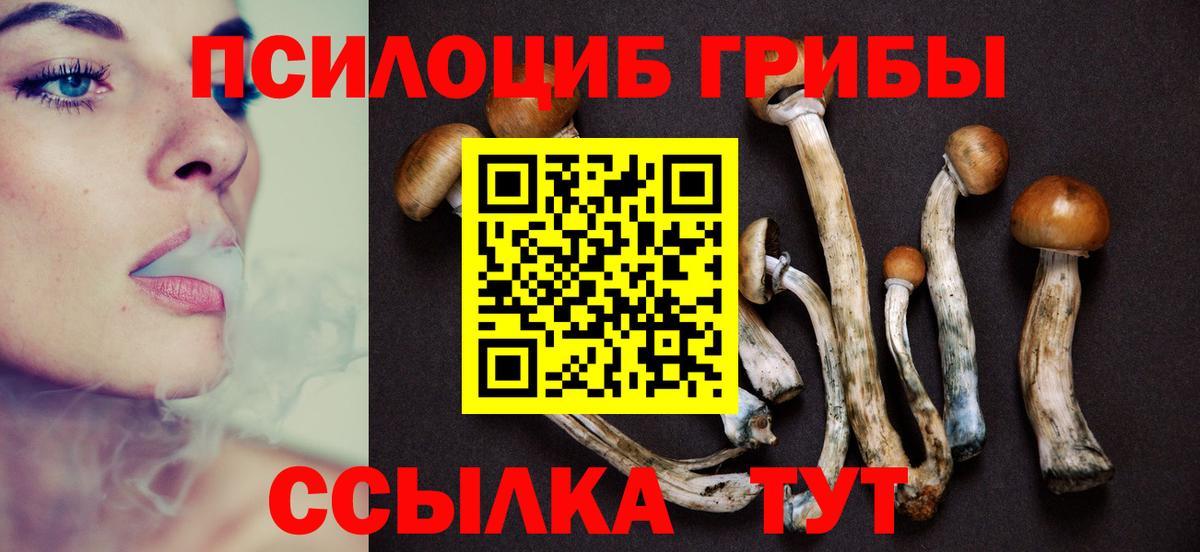 Псилоцибиновые грибы прущие грибы  Вход с VPN  Псилоцибиновые грибы Magic Shrooms  Копейск 